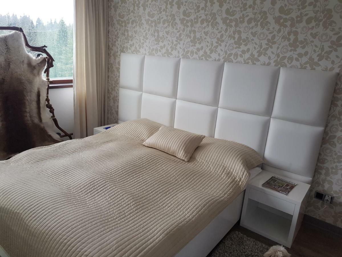 Apartment Пояна-Брашов Екстер'єр фото